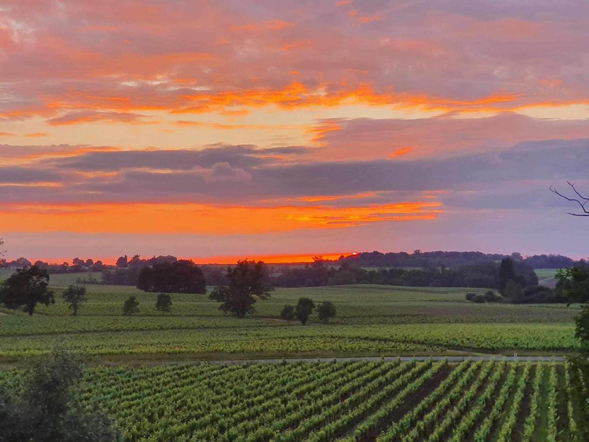 Chateau Fleur De Roques - Puisseguin Saint Emilion Exterior photo