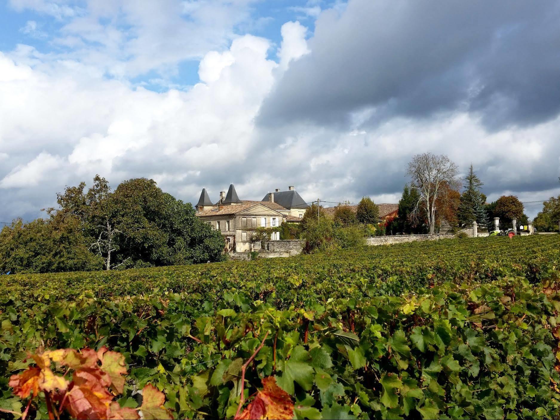 Chateau Fleur De Roques - Puisseguin Saint Emilion Exterior photo
